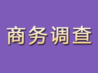 双桥区商务调查